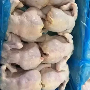 Frozen Whole Chicken for Further Processing OEM Cutting and Packing Service