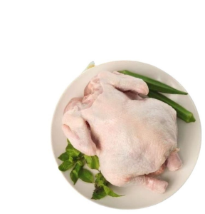 Frozen Whole Chicken for Global Distribution