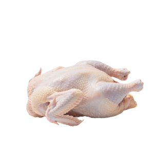 Frozen Whole Chicken in Bulk
