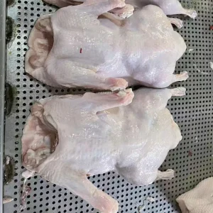 Frozen Whole Duck Are Rich in High Quality Protein and Meet Health Standards