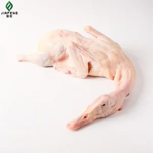 Frozen Whole Duck Directly From China Halal Certified Hand Slaughtered with Certificate No Drug Residue
