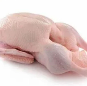 Frozen Whole Duck From China Halal Body Part Available in Box Packaging