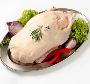 Frozen Whole Duck Halal Certified Bulk Supply