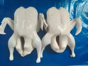 Frozen Whole Duck Halal Certified Fresh Frozen Poultry for Food Industry