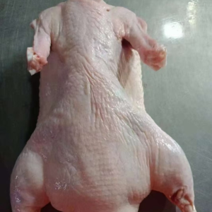 Frozen Whole Duck Has Been Eviscerated and Cleaned Thoroughly