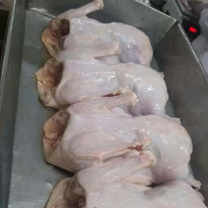 Frozen Whole Duck Has Firm and Unbroken Meat