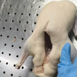 Frozen Whole Duck Highly Popular in The European Market