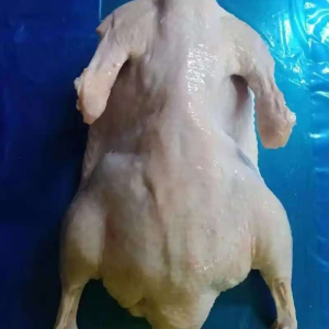 Frozen Whole Duck Is of Uniform Size