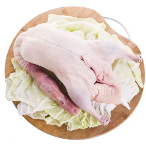 Frozen Whole Duck Meat