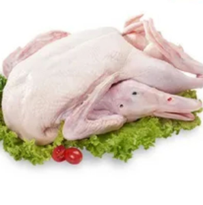 Frozen Whole Duck Meat Fresh Style