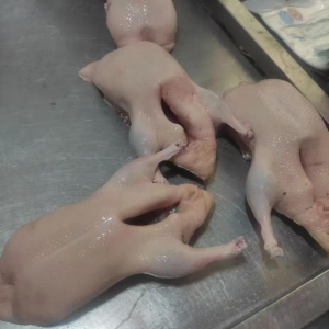 Frozen Whole Duck Meets The Requirements for Family Gatherings