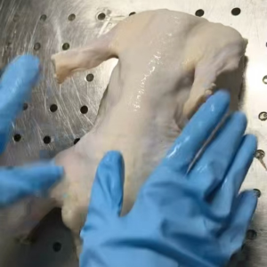 Frozen Whole Duck Multiple Quality Inspections Upon Leaving The Factory Reliable Quality