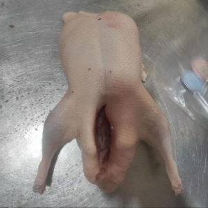 Frozen Whole Duck Raised Without Hormones Are Healthier