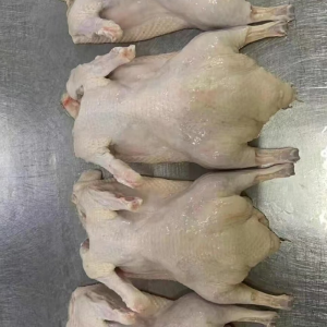 Frozen Whole Duck Sourced Directly From The Farm