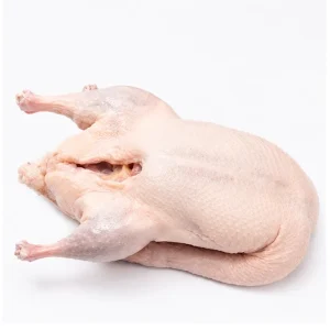Frozen Whole Duck Without Feet Wings and Giblets for Catering and International Market