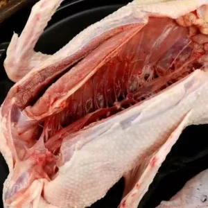 Frozen Whole Duck for Export