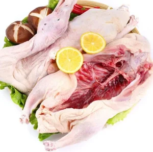 Frozen Whole Duck for Global