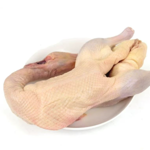 Frozen Whole Duck with Halal Certification