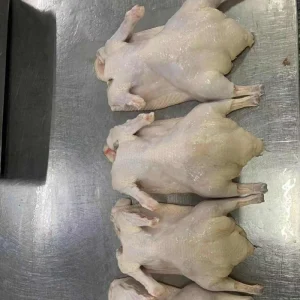 Frozen Whole Duck with Head Neck Two Wing Sections Entrails Feet Removed