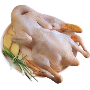 Frozen Whole Ducks Meat Grade a