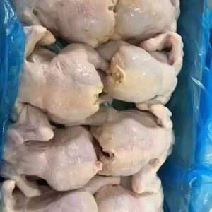 Frozen Whole Halal Chicken and Chicken Parts for Sale