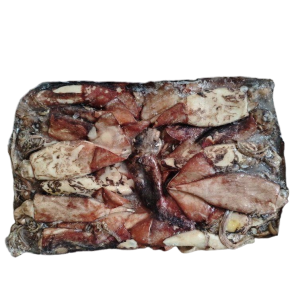 Frozen Whole Indian Squid South Pacific Squid for BBQ and Fried Food