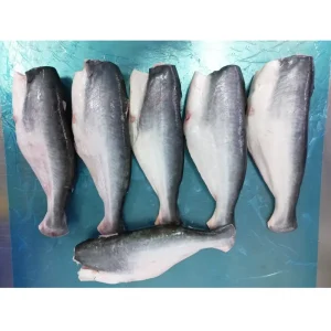 Frozen Whole Pangasius China Basa Pangasius Pangasius Congelado