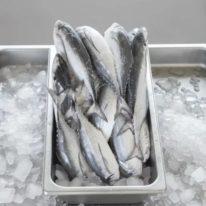 Frozen Whole Round Hardtail Scad Fish Bait Seafood 10kg Carton Grade a China Fujian