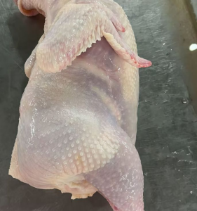 Garlic Infused Frozen Whole Chicken for Global Buyers