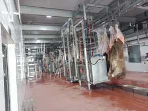 Goat Body Scalding Dehair Machine Dehair Machine Sheep Head Cattle Pig Sheep Slaughter Equipment