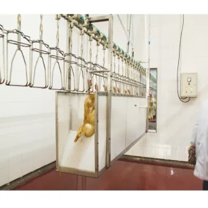 Good Pice Automatic Chicken Slaughtering Machine Line Slaughter Equipment Poultry Slaughter Equipment