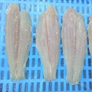 Good Price Frozen Pangasius Fillet Basa Fillet in Pangasius Fish