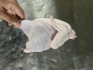 Grade A Frozen Chicken All Year Round Poultry Meat