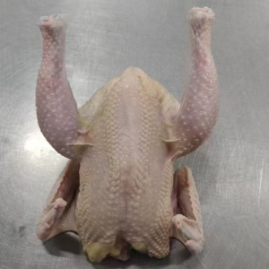 Grade A Frozen Halal Chicken Sourced From Trusted Suppliers