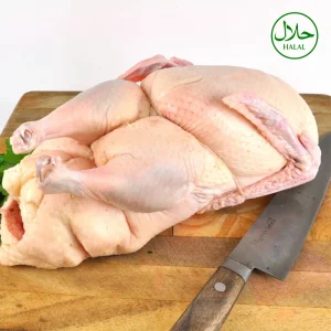 Grade A Very Tender Fragrant Frozen Duck for Culinary Creations at Home