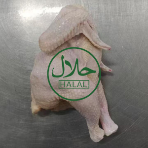Grade a Frozen Chicken All Year Round Halal Chicken Supply