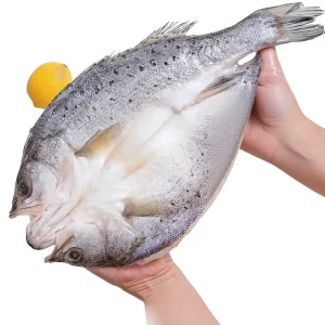 Guangdong Sea Bass Frozen Whole Fish Open Side 400g Vacuum Seafood Banquet Charcoal Roasted 40cm