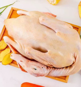 Halal BRC Certified Frozen Whole Duck Bulk Export Grade