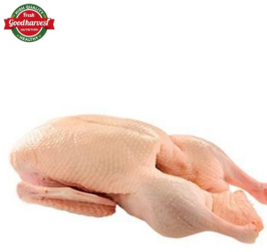 Halal Certified Frozen Duck Meat for Export