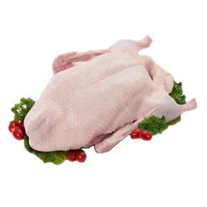 Halal Certified Frozen Whole Chicken Without Antibiotics A-class Frozen Chicken Meat