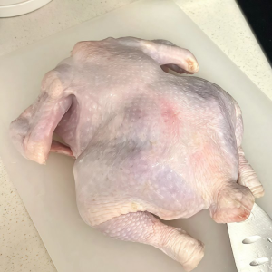 Halal Certified Frozen Whole Chicken for Retails