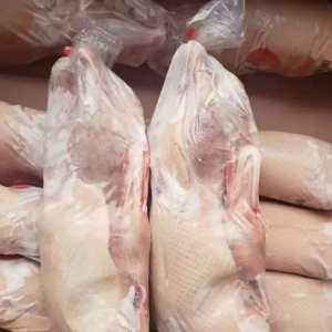 Halal Certified Grade A 4kg Whole Duck Meat with Head Wings Feet LQF Freezing Process for Home Cooking Frozen Style