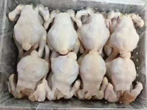 Halal Certified Tender Juicy Farm Raised China Frozen Whole Chicken