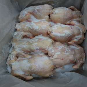 Halal Frozen Chicken BRC Certified Quality Assurance