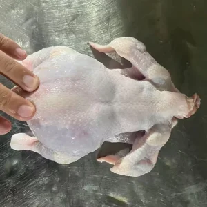 Halal Frozen Chicken Frozen Chicken Breast Frozen Chicken Whole