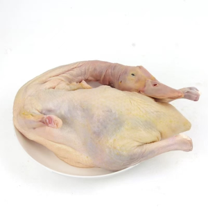Halal Frozen Duck Breast Boneless for Sale Frozen Duck Breast Meat Halal