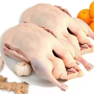 Halal Frozen Duck Products China Export High Quality