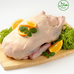 Halal Frozen Duck in 10 Kg Carton at Bulk Price