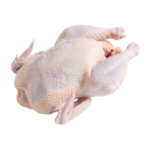 Halal Frozen Fresh Chicken From Brazil Quality Frozen Whole Halal Chicken and Chicken Parts