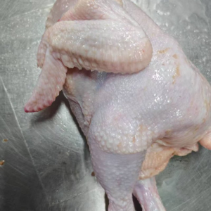 Halal Frozen Whole Chicken / Chicken Breast
